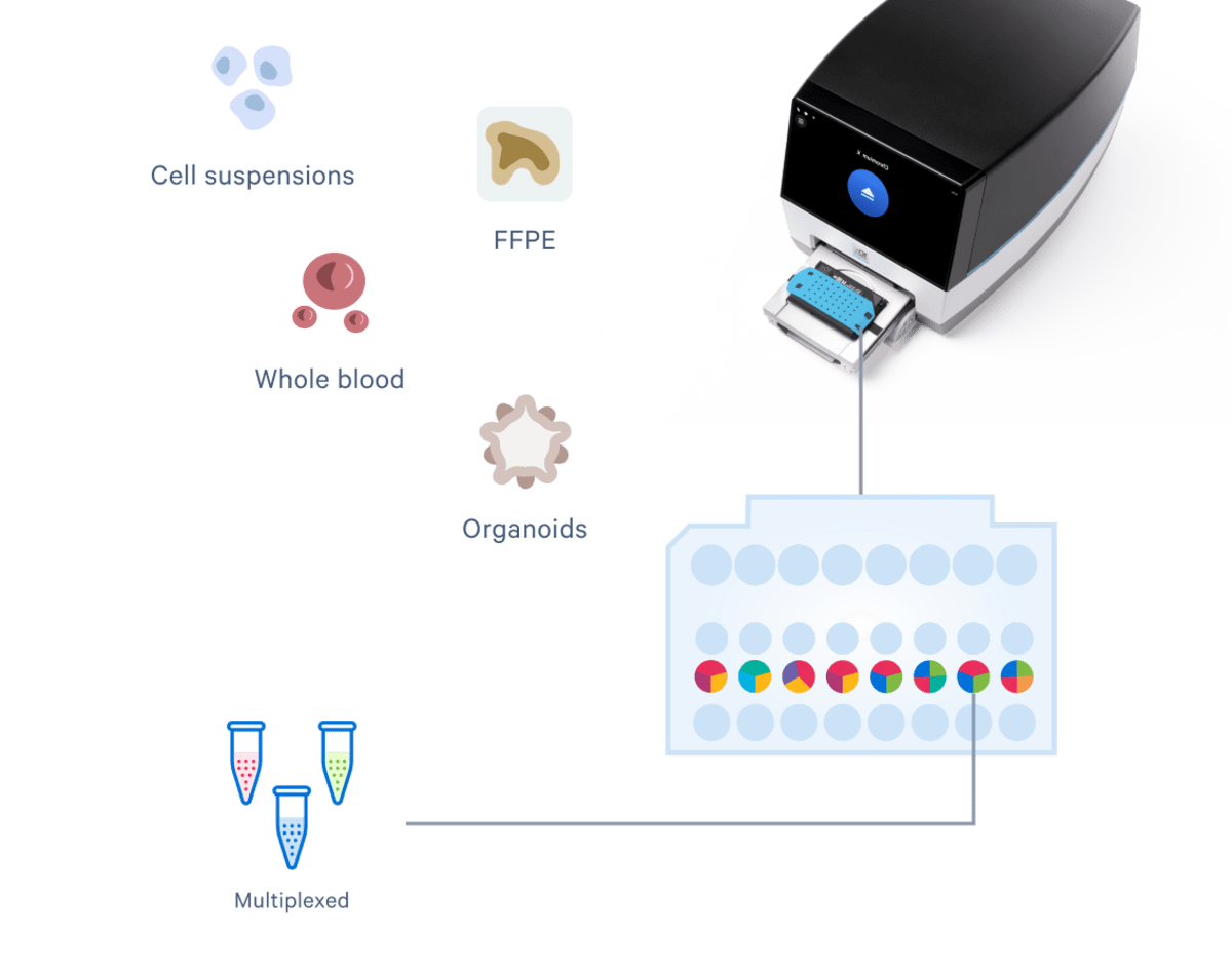 Chromium Technology tissue sample examples and a graphic of the Chromium X sample inputs