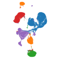 Graphical representation of a tSNE plot