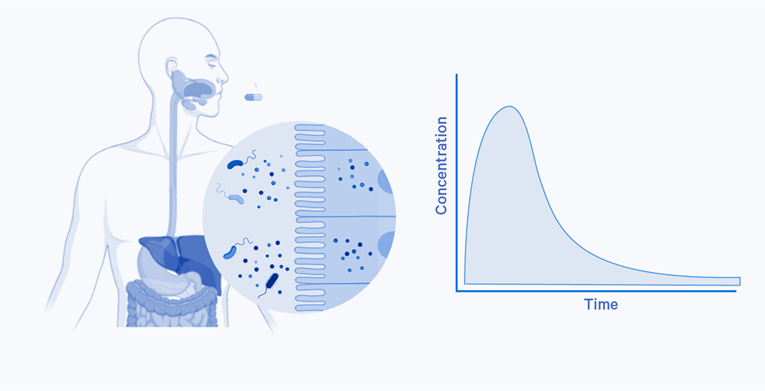 A graphic showing a human body with an excerpt of drug interaction in the digestive region and a graph showing concentration over time.